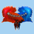 siamesefish's Avatar